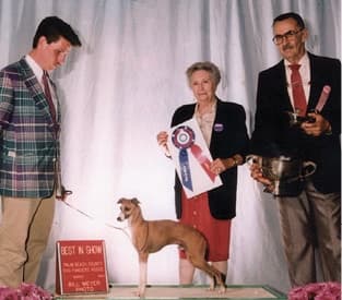 Carol Harris | Bo-Bett Farm Carol Harris | Bo-Bett Farm
