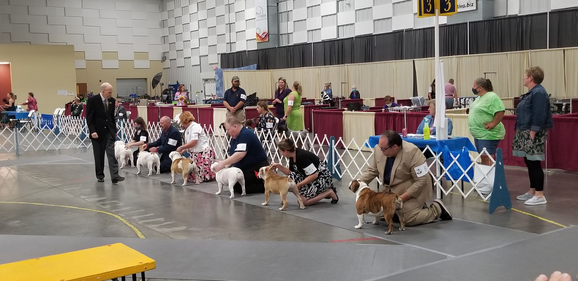 Dog Show Jitters
