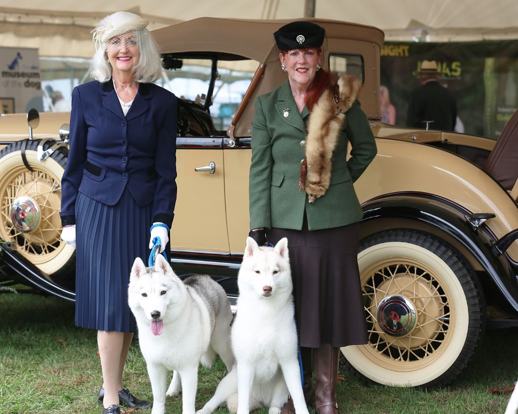 Morris & Essex Kennel Club Post-Show Recap With President & Show Chair Wayne Ferguson