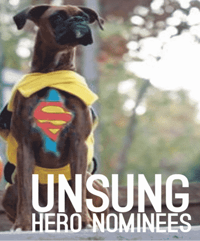 The Unsung Hero Award