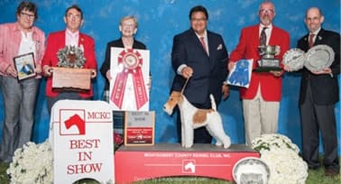 The Breeders Of Montgomery Best In Show Winners The Breeders Of Montgomery Best In Show Winners