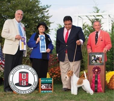 The Breeders Of Montgomery Best In Show Winners The Breeders Of Montgomery Best In Show Winners