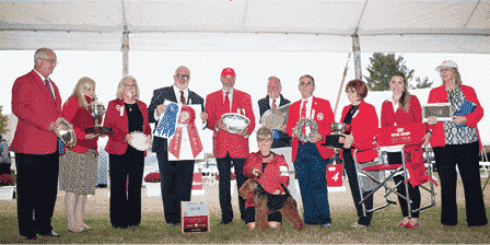 The Breeders Of Montgomery Best In Show Winners The Breeders Of Montgomery Best In Show Winners