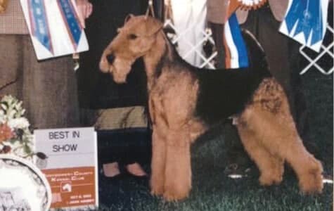 Montgomery Best in Show Judge Through History