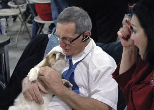 The National Dog Show | A Broadcast Bonanza for Purebred Dogs
