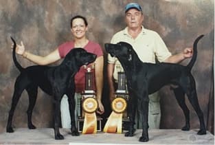 The Plott | A Hound of a Different Color Champion littermates, CH Simmons IN Storm’s Gotcha with her littermate GCH Simmons IN DayDream’s Gotcha winning the Pairs Championship at a UKC show.