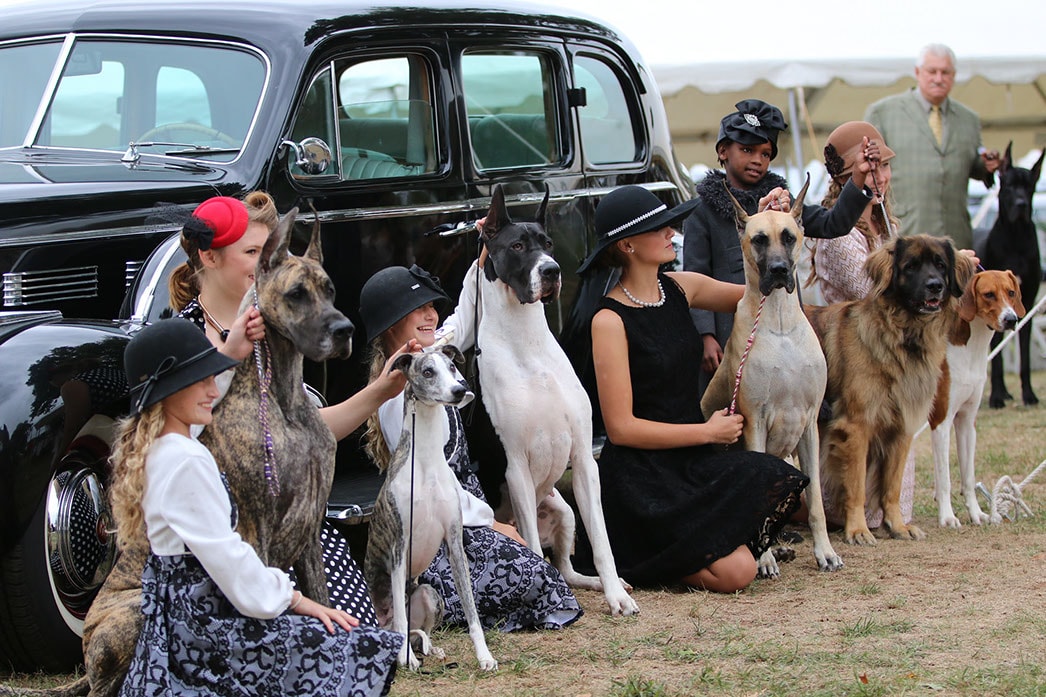 Wayne Ferguson President Of Morris & Essex Kennel Club
