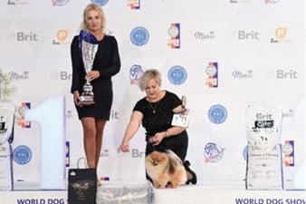 FCI World Dog Show Brno 2021