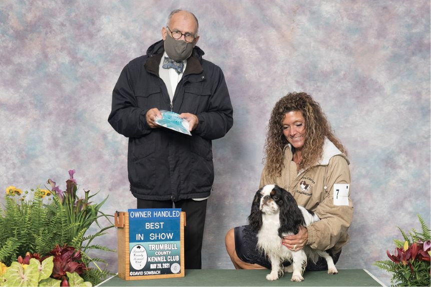 Luvn Chr-Lys English Toy Spaniels | Dawn Charley