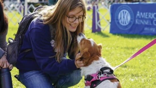 Cornell Veterinary Students Take a Deep Dive into Finger Lakes Dog Show World