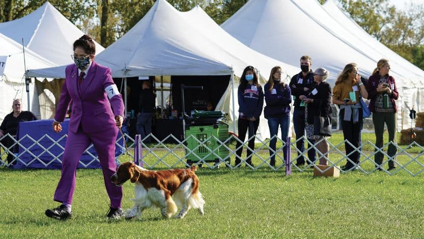 Cornell Veterinary Students Take a Deep Dive into Finger Lakes Dog Show World Cornell Veterinary Students Take a Deep Dive into Finger Lakes Dog Show World