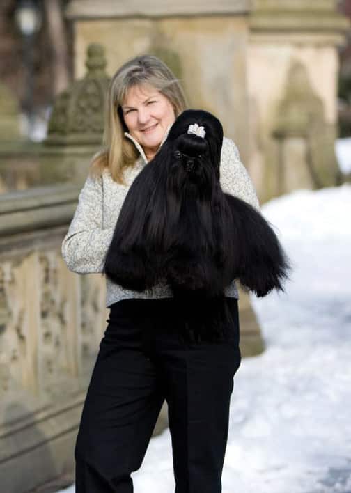 Chatterbox Shih Tzu | L. Sarah Lawrence