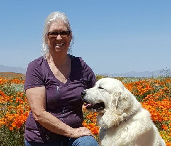 Euzkalzale Great Pyrenees | Terry Denney-Combs