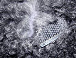 Figure 1. Hair Parted Showing the Skin Figure 1. Hair Parted Showing the Skin