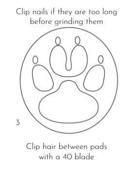 Grooming Kerry Blue Terrier