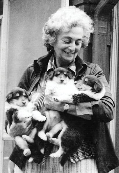 Quarter Century Collie Group Hall of Fame Inductee Edith Levine Quarter Century Collie Group Hall of Fame Inductee Edith Levine