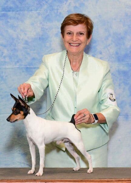Susan Thibodeaux with her Kallmee Toy Fox Terrier