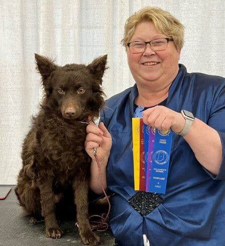 Menagerie Mudis & More | Theresa Stilger Menagerie Mudis & More | Theresa Stilger