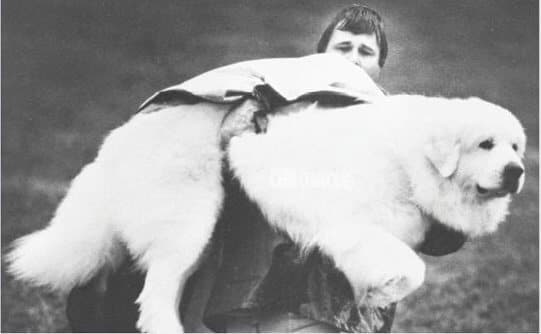 “TR” and Wayne
