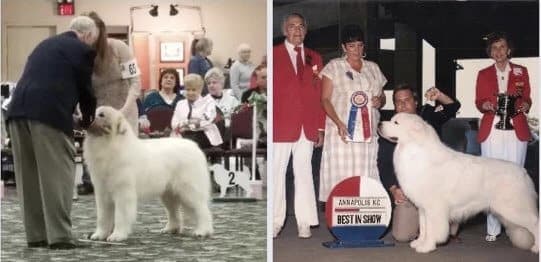 Remembering Wayne Boyd – A Beloved Friend