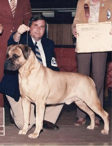 Ch. Bandogs Crawdaddy Gumbo, “Waldo”