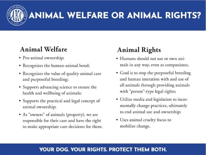 Difference Between Animal Rights and Animal Welfare