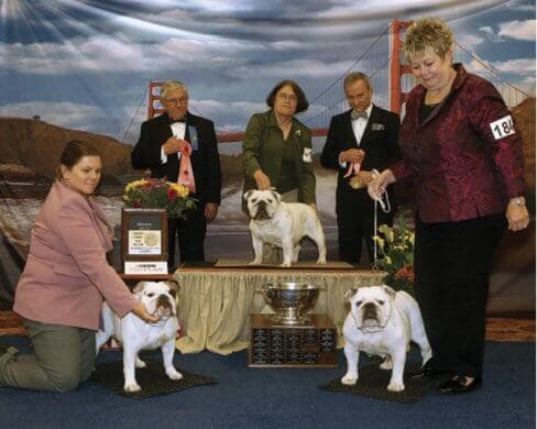 Ampirion Bulldogs | Anne Hier
