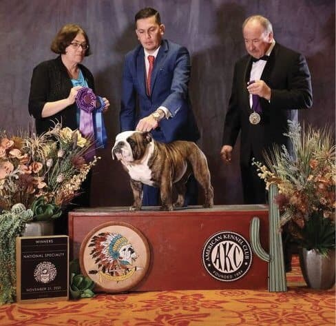 Ampirion Bulldogs | Anne Hier