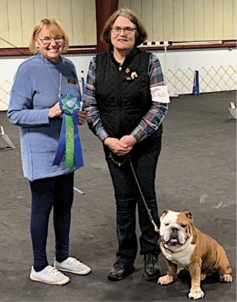 Ampirion Bulldogs | Anne Hier