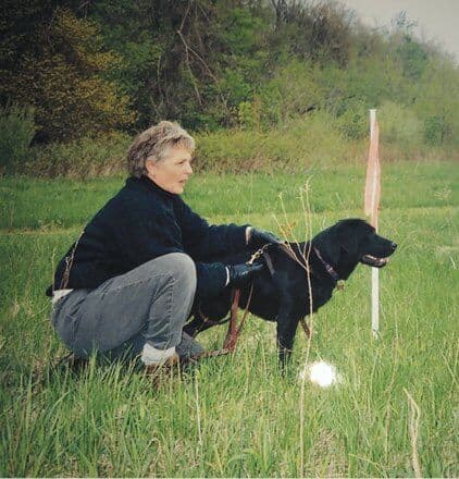 Dog Breed Standard