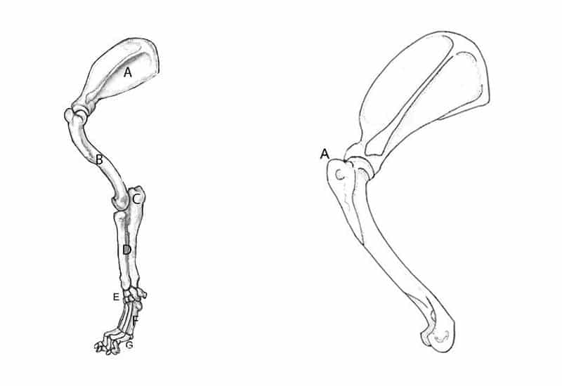 Form Follows Function - Reach & Layback