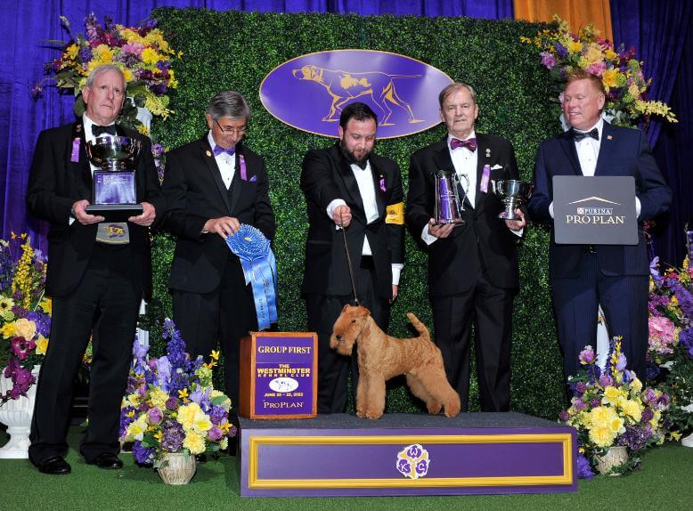 Westminster Terrier Group Judge Richard W. Powell 2022 WKC Working Group Winner Lakeland Terrier Hi-Kel Terrydale Nanhall Mizzconceived
