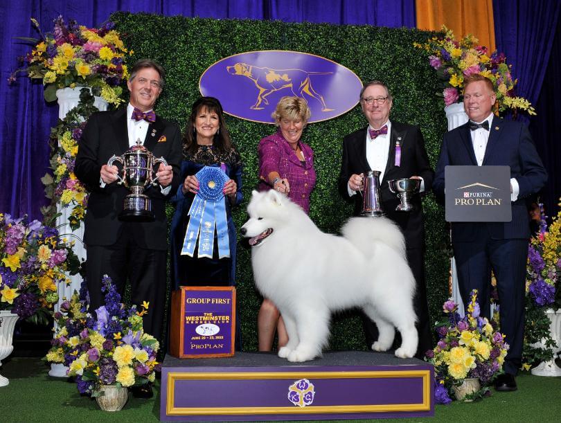 Westminster Working Group Judge Faye Strauss Group Winner Photo