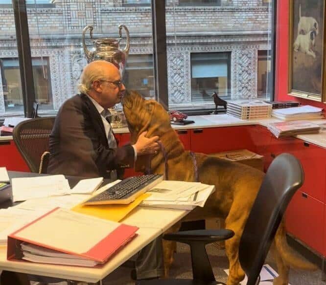 AKC President Dennis Sprung