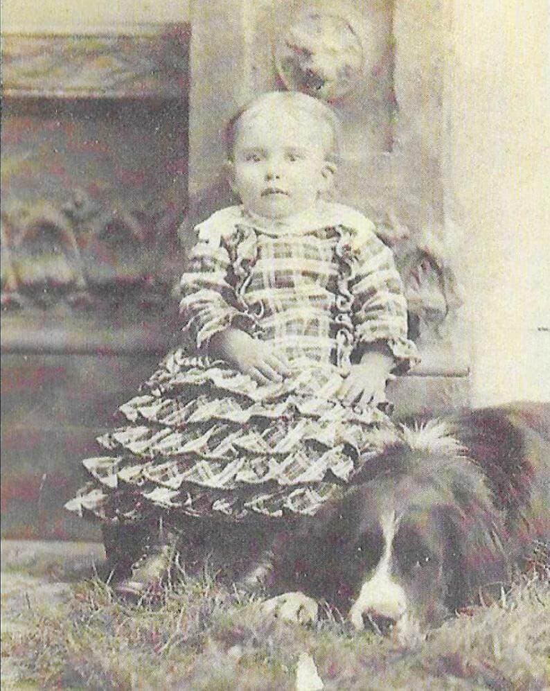 The History of the Bernese Mountain Dog