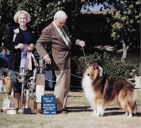 I too found Svend’s Ch. Shoreham Absolutely Valley-Hi (Sandy) to be the top dog at the Southern California Collie Club National Specialty show. Linda Ayers Turner Knorr and Svend Jensen.