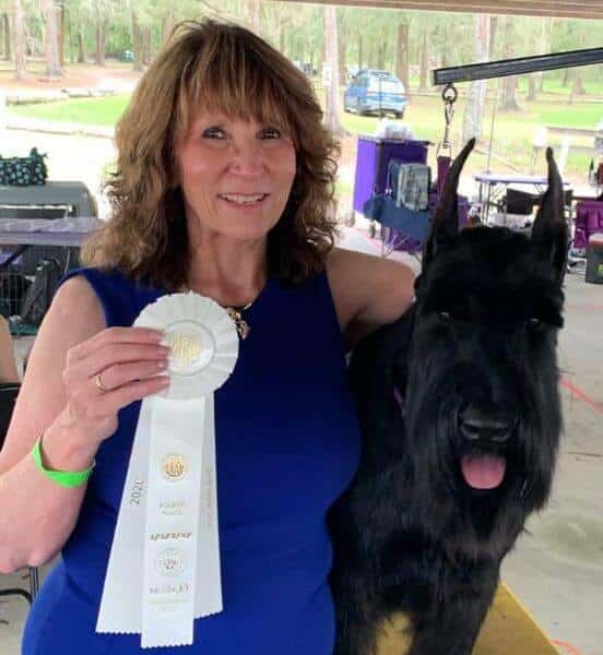 Giant Schnauzer - Robin Henderson Robin Henderson with her SpiceRack Giant Schnauzer "Flint"