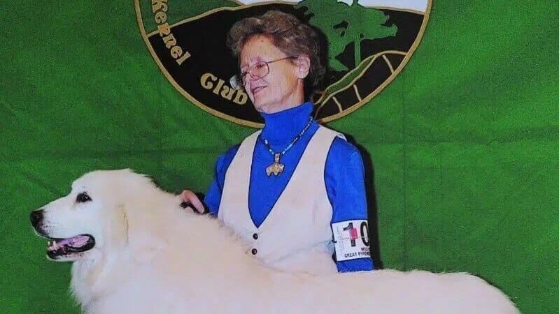Aquilon Great Pyrenees | Sandra McCrady