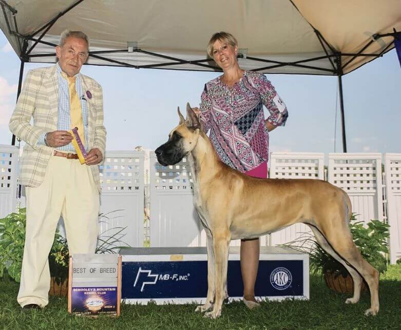 Owner Handler Sara Rude