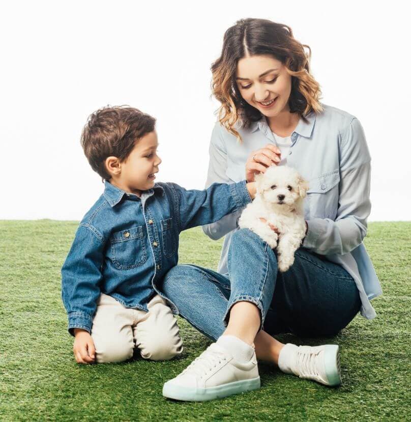 smiling-mother-holding-havanese-puppy-and-son Smiling mother and son, sitting on grass, holding a havanese puppy