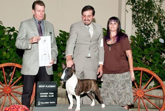 AKC Judge William deVilleneuve AKC Judge William deVilleneuve