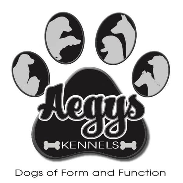 Aegys Kennels Aegys Kennels logo