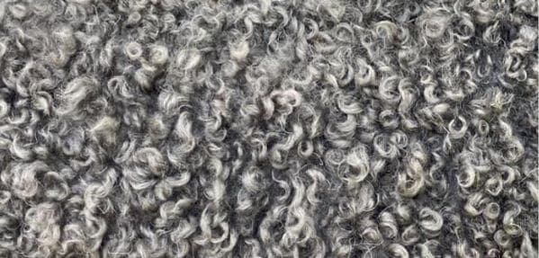 Pumi coat texture