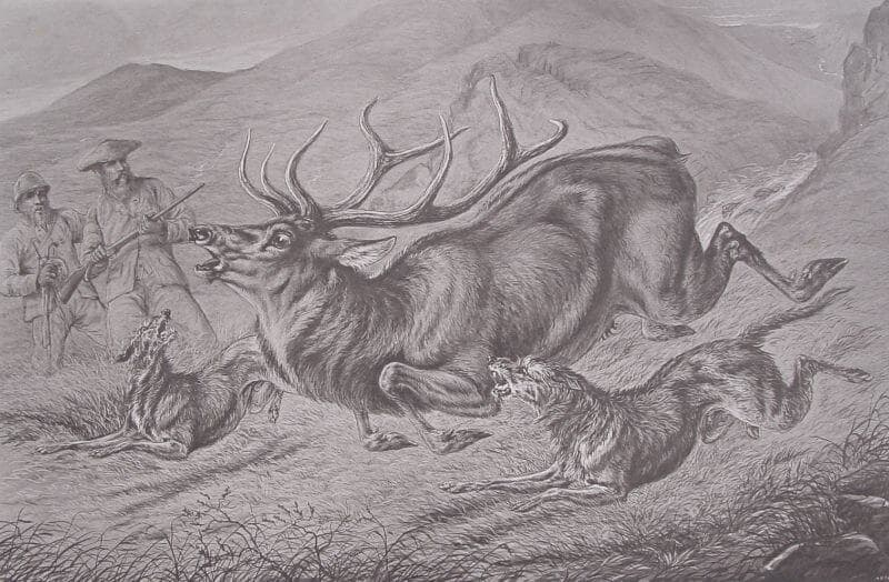 The Titan • Peogh & Glen. Crealock 1873