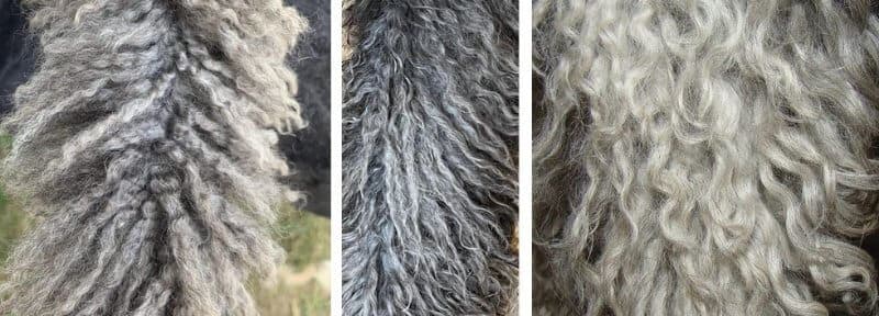 Leg Hair Has Different Types of Curls