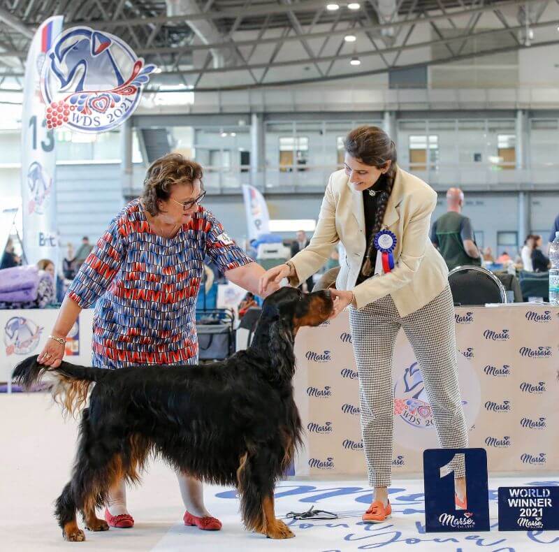 Munroc Farm Gordon Setters | Rhonda Cornum