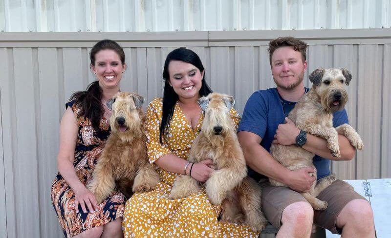 Brittany Phelps | Adáko Soft Coated Wheaten Terriers