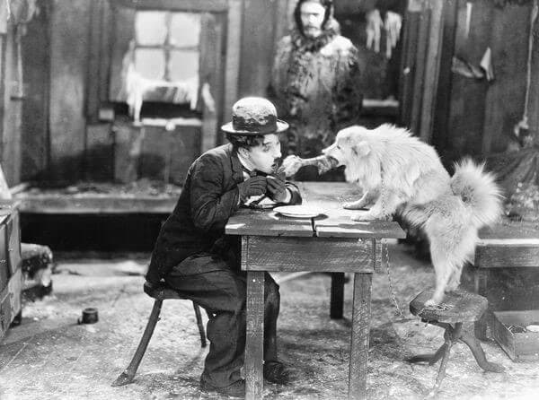 Scene from a1925 Charlie Chaplin movie “The Gold Rush” showsing Charlie Chapling sitting on a table fighting for food with a German Spitz