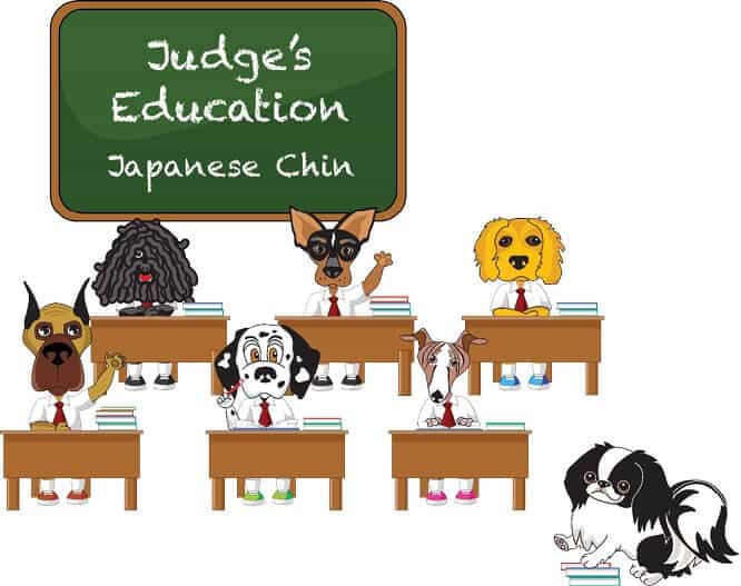 Exploring the Japanese Chin Breed Standard