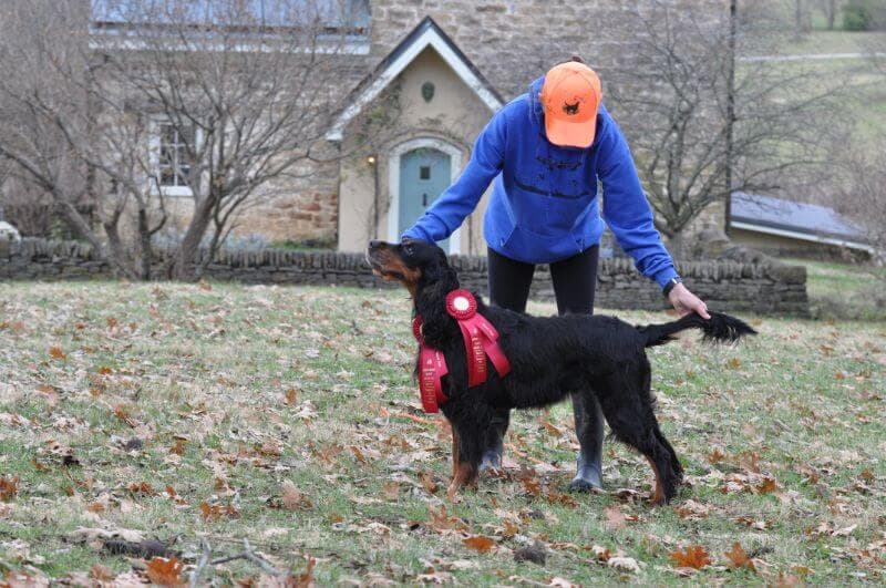 ‘Libby’ at 9, 2nd in Open Gun and Amateur Gun Dog.